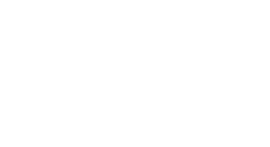 Prizmawood logo